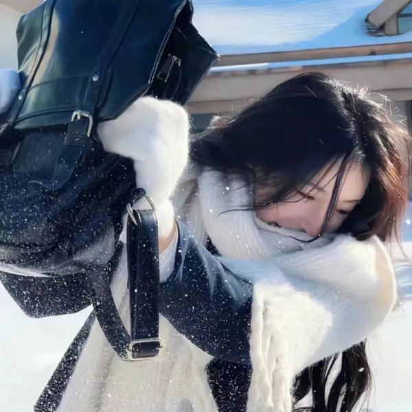 尘中之舞